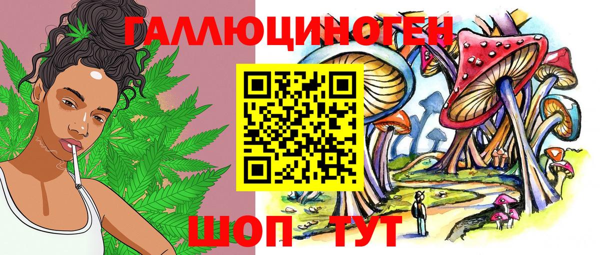 Йошкар-Ола  Галлюциногенные грибы мухоморы  Вход с VPN  где купить наркоту  Псилоцибиновые грибы Psilocybe 